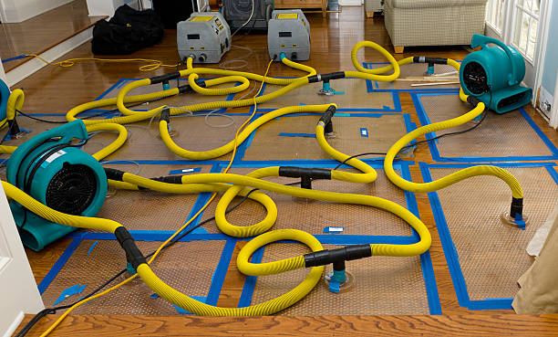 Professional Crawl Space Water Removal technician working in Jasper, FL